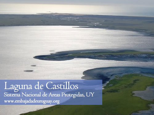 Laguna Castillos - Reserva Ecologica en Uruguay